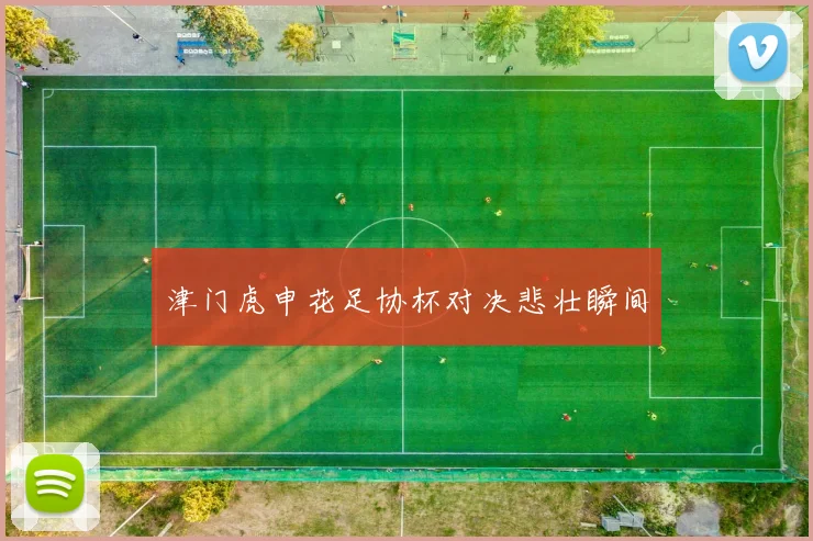 津门虎申花足协杯对决悲壮瞬间