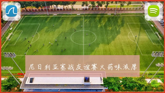 尼日利亚塞战友谊赛火药味浓厚