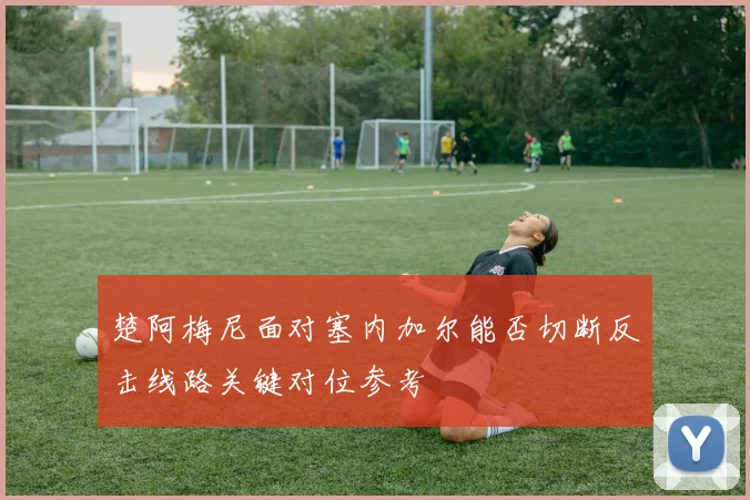 楚阿梅尼面对塞内加尔能否切断反击线路关键对位参考