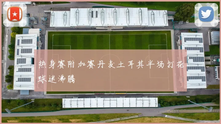 热身赛附加赛丹麦土耳其半场打花球迷沸腾