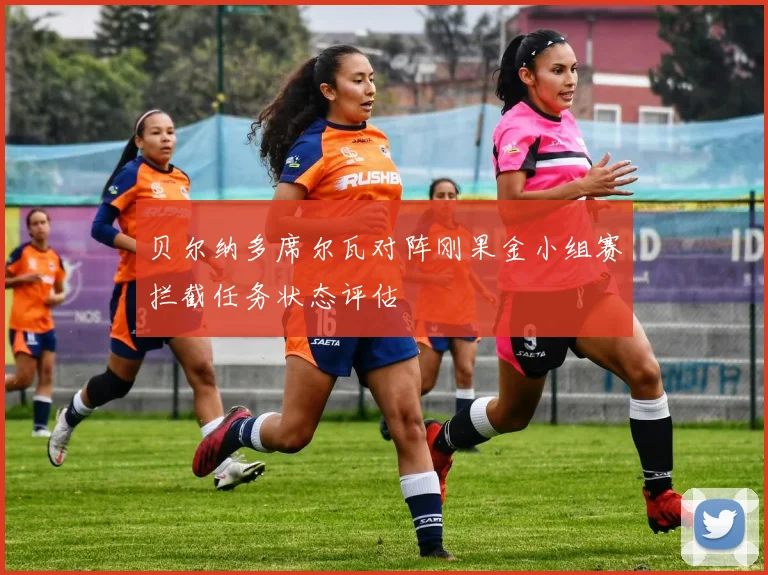 贝尔纳多席尔瓦对阵刚果金小组赛拦截任务状态评估